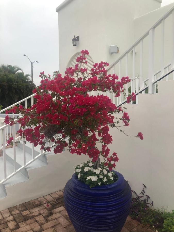 Appartement Dream At Wtc With Heated Pool Sauna 7 Bicycles And 3 Mls To North Naples
